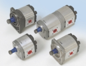 zi alpha series hydraulic pump